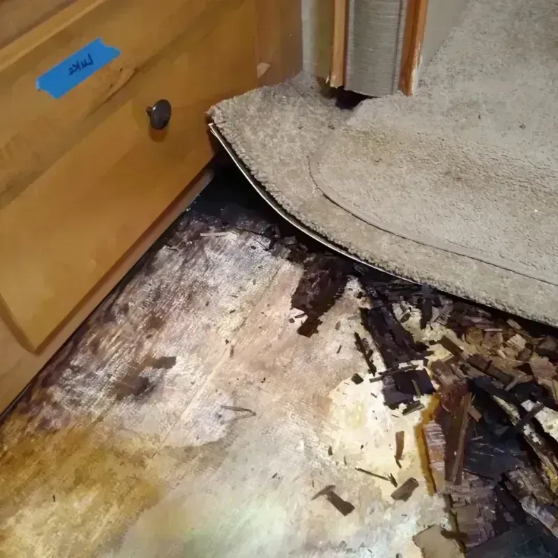 Wood Floor Water Damage in North Myrtle Beach, SC